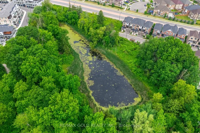 Additional image 47 of 106 Rising Hill Rdge