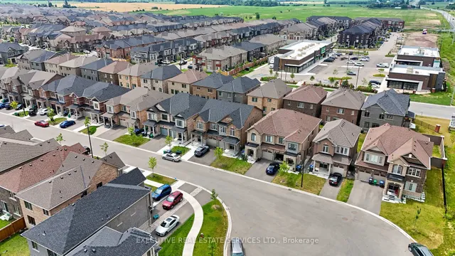 Additional image 8 of 36 Truffle Crt