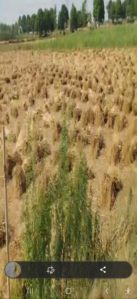 Additional image 3 of Muradnagar, Ghaziabad