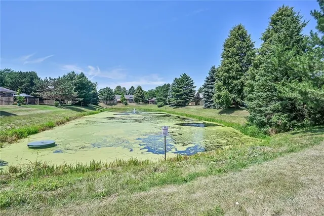 Additional image 49 of 59 Critzia Dr Unit 205