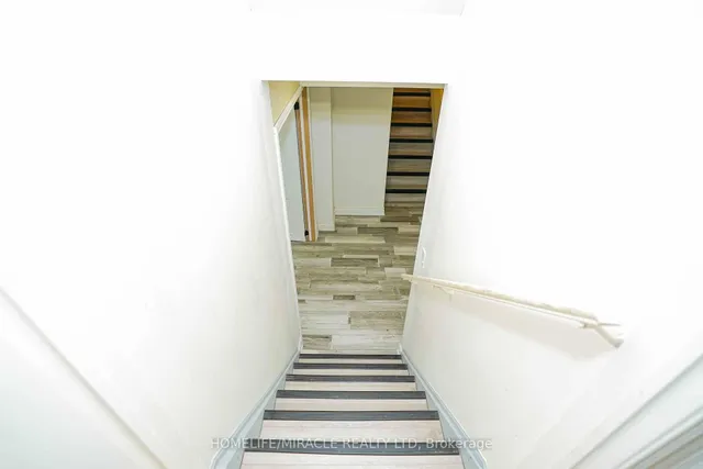 Additional image 35 of 6 Belladonna Circ