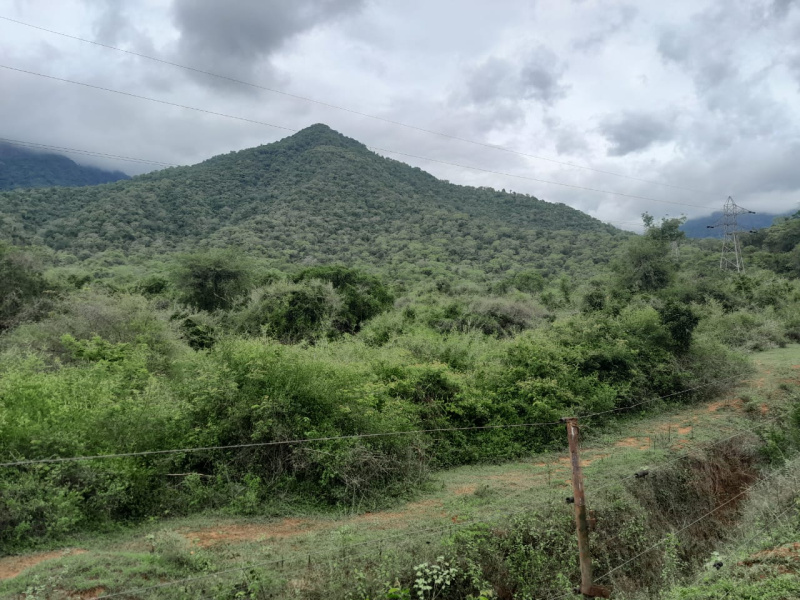 Additional image 3 of Mettupalayam Coimbatore, Coimbatore