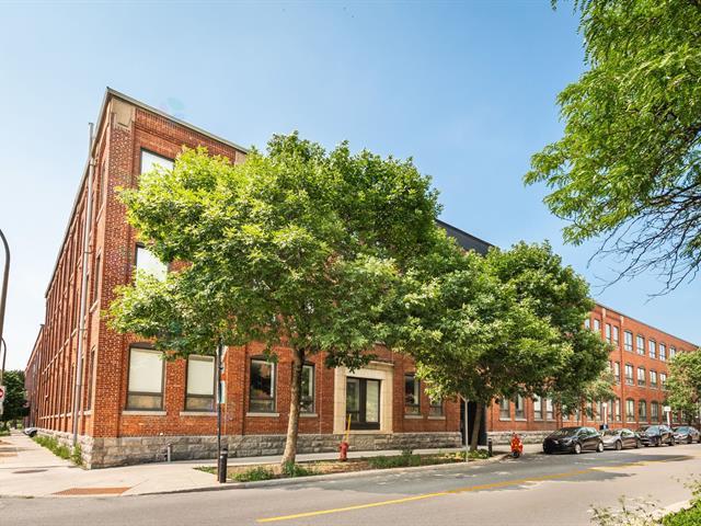 4211 Rue de Rouen|#115|Montréal (Mercier/Hochelaga-Maisonneuve), Quebec H1V1G7