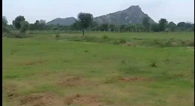 Additional image 2 of Girwa, Udaipur