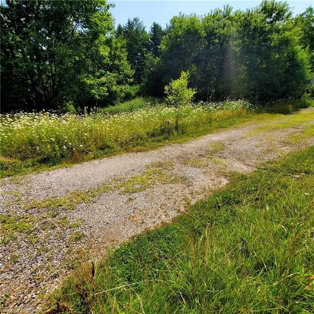 Property image for 1110 Wilson St