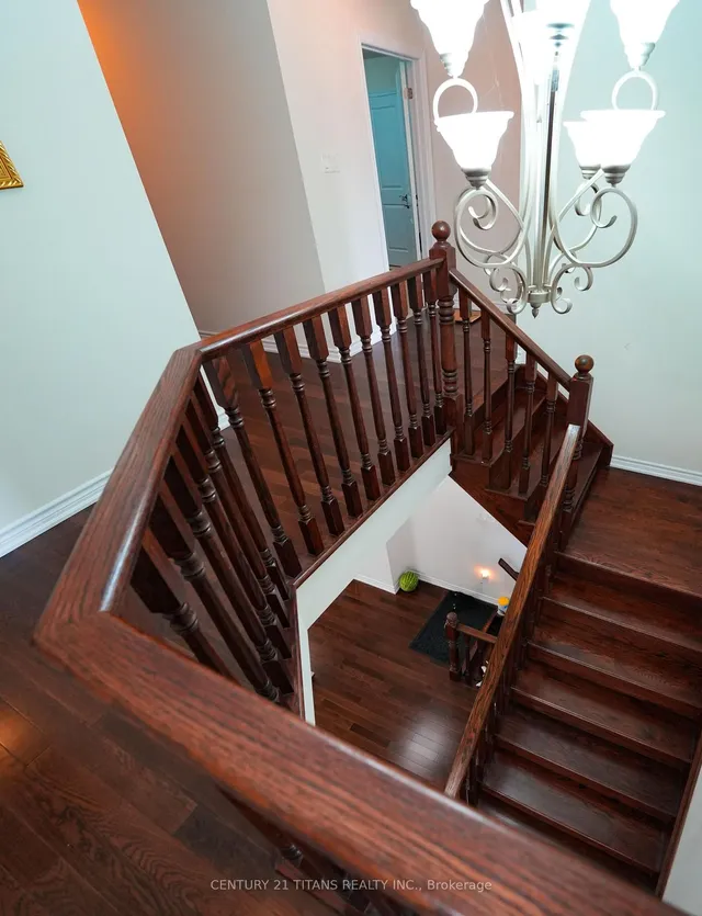 Additional image 16 of 42 Lola Cres