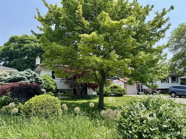 Additional image 3 of 635 Bridle WOOD