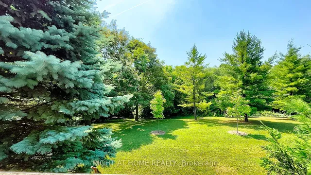 Additional image 23 of 50 Tamarack Circ