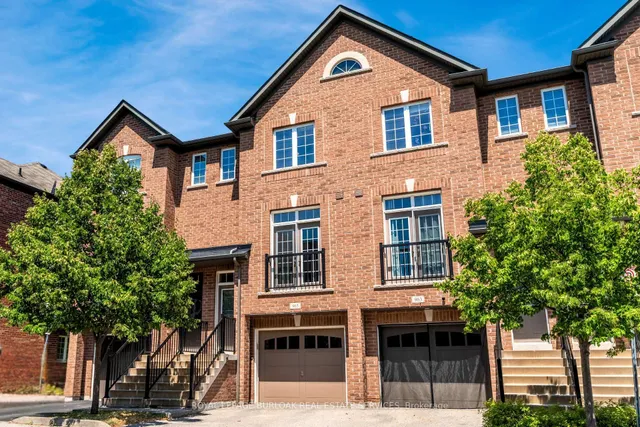 Additional image 2 of 965 Reimer Common