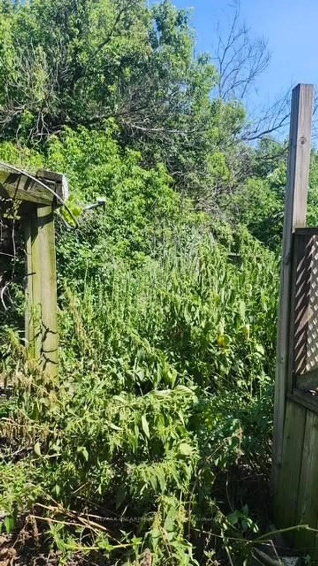 Additional image 23 of 706 Tate Ave