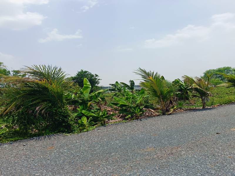 Additional image 3 of Datrenga, Raipur