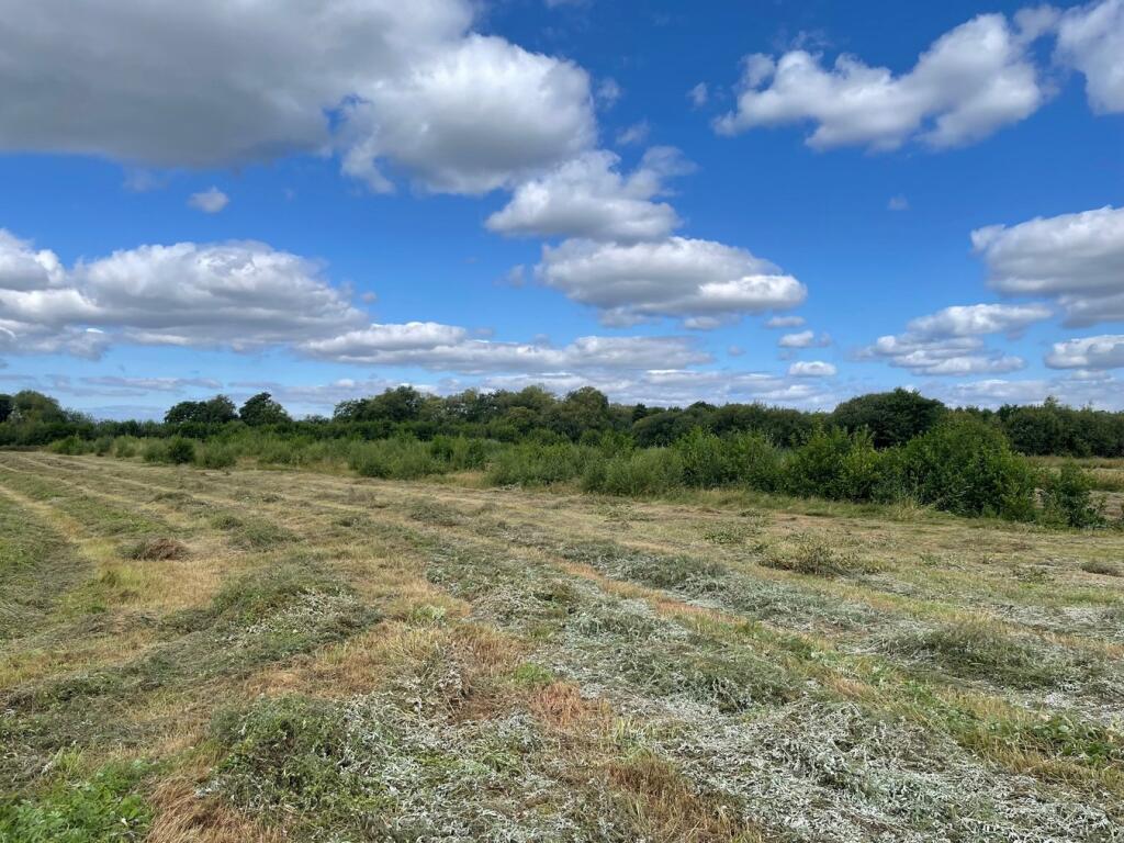 Additional image 4 of Oaks Drove, Westhay Moor, Westhay, BA6