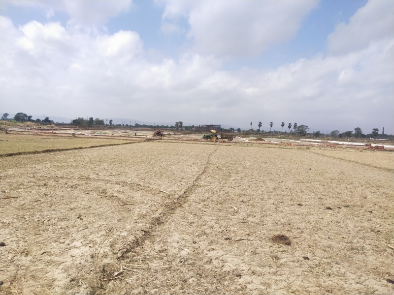 Additional image 3 of Punpun, Patna