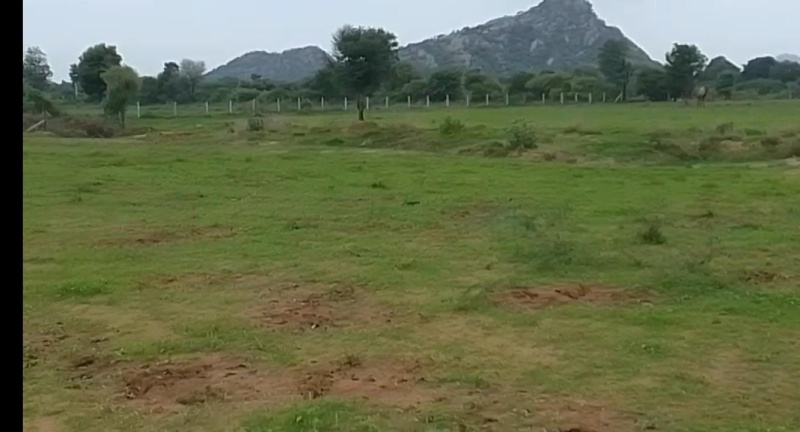 Additional image 3 of Girwa, Udaipur