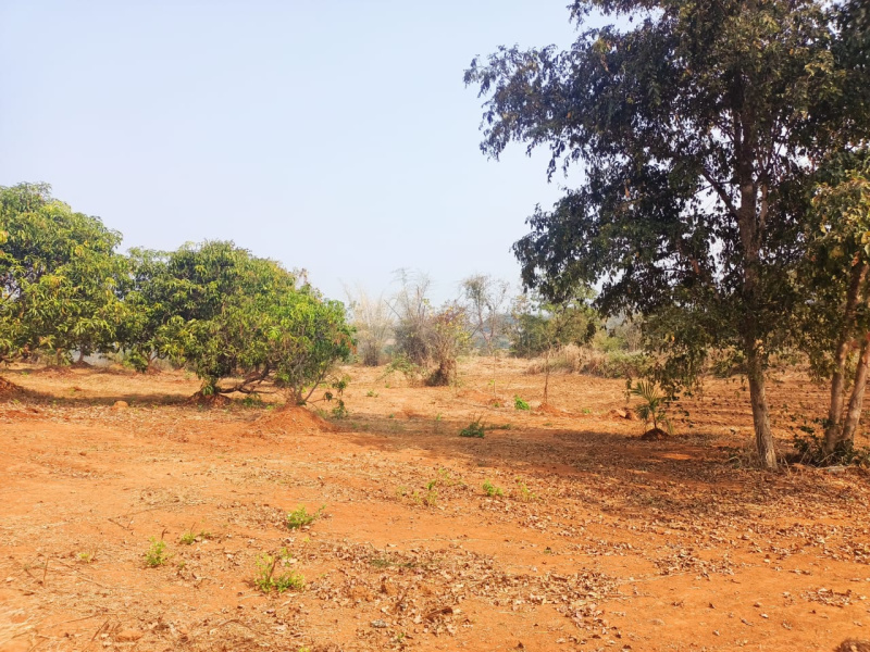 Property image for Murbad, Thane
