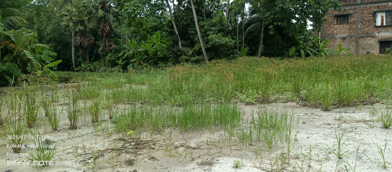 Additional image 3 of Boral Main Road, Kolkata