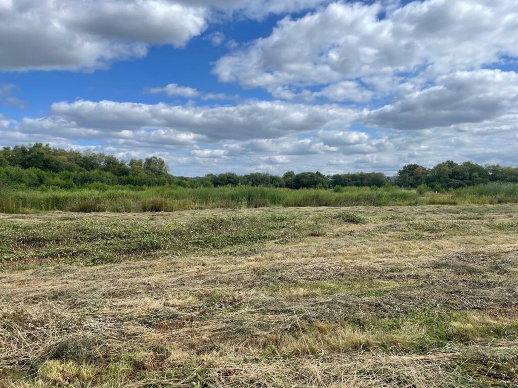 Additional image 10 of Oaks Drove, Westhay Moor, Westhay, BA6