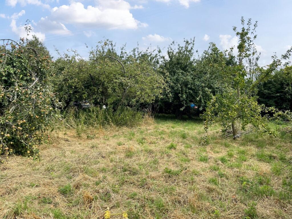 Additional image 6 of Small Way Lane, Galhampton, Castle Cary, BA22