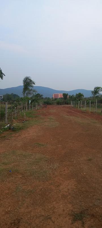 Additional image 2 of Pitapalli, Bhubaneswar