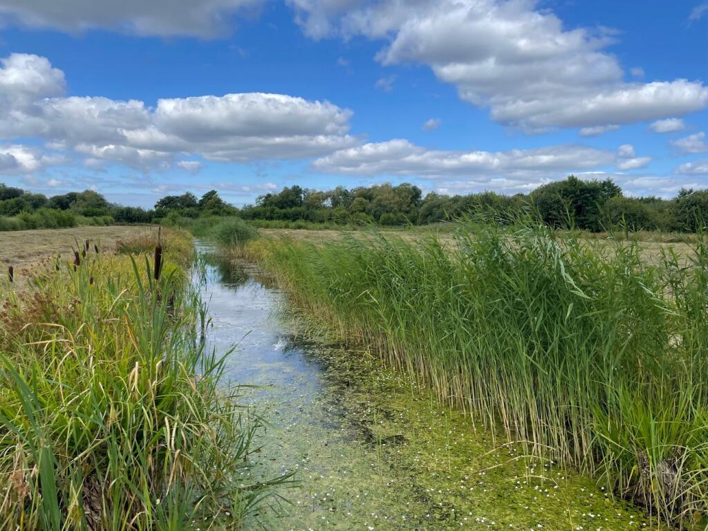 Additional image 6 of Oaks Drove, Westhay Moor, Westhay, BA6