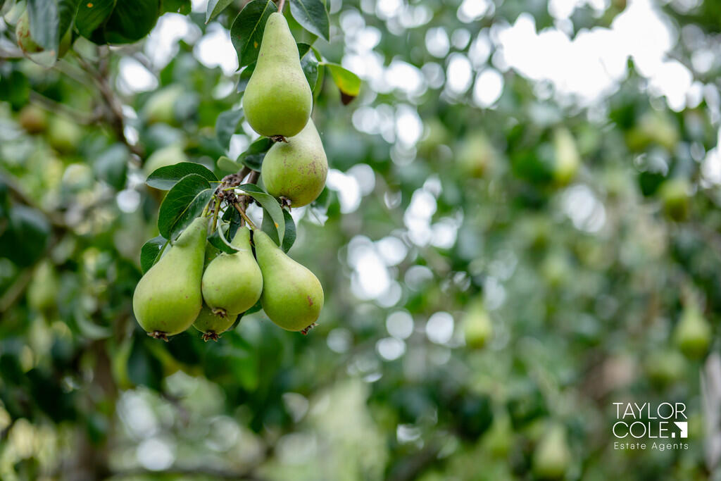 Additional image 35 of Manor Lane, Harlaston