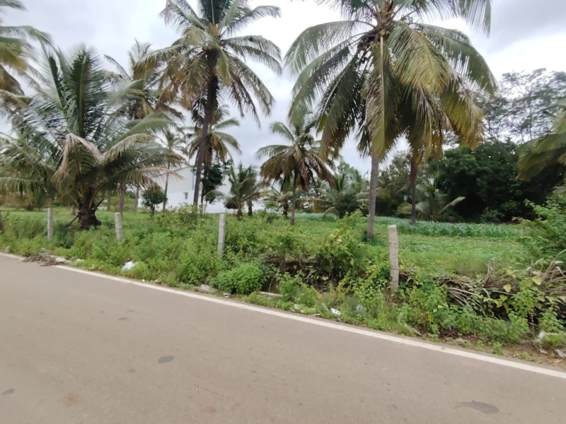 Property image for Bidadi, Bangalore