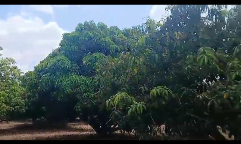 Additional image 3 of Ramanagara, Bangalore