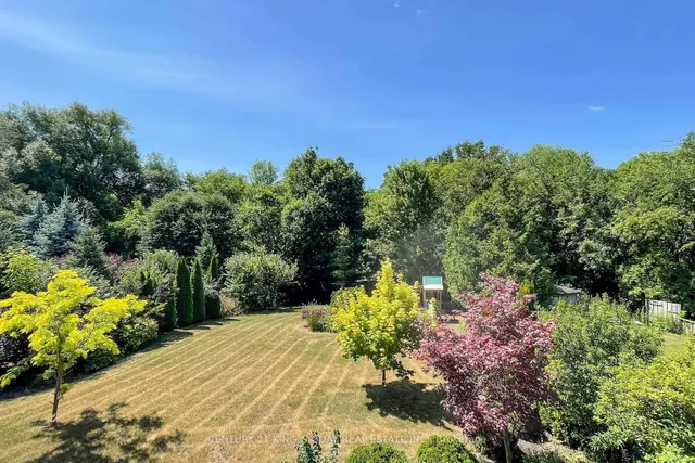 Additional image 50 of 33 Citation Dr