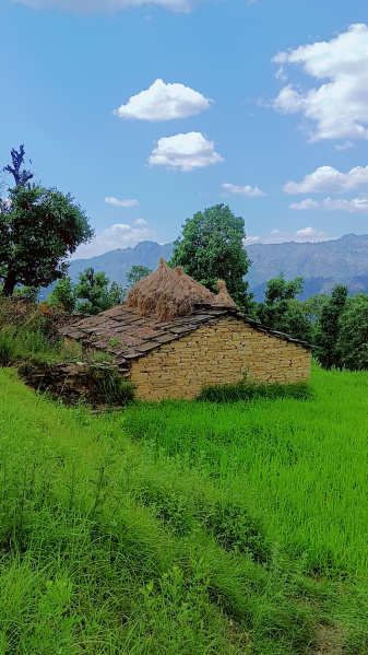 Property image for Mukteshwar, Nainital