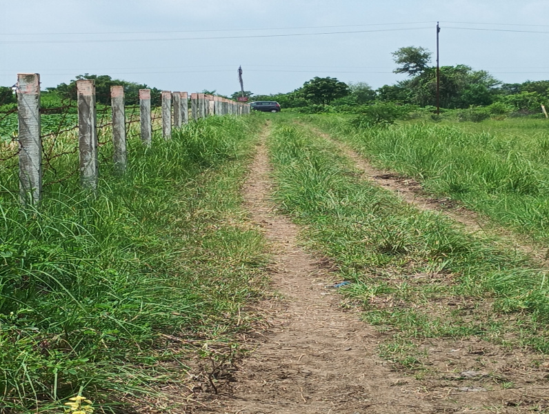 Additional image 2 of Savli, Vadodara