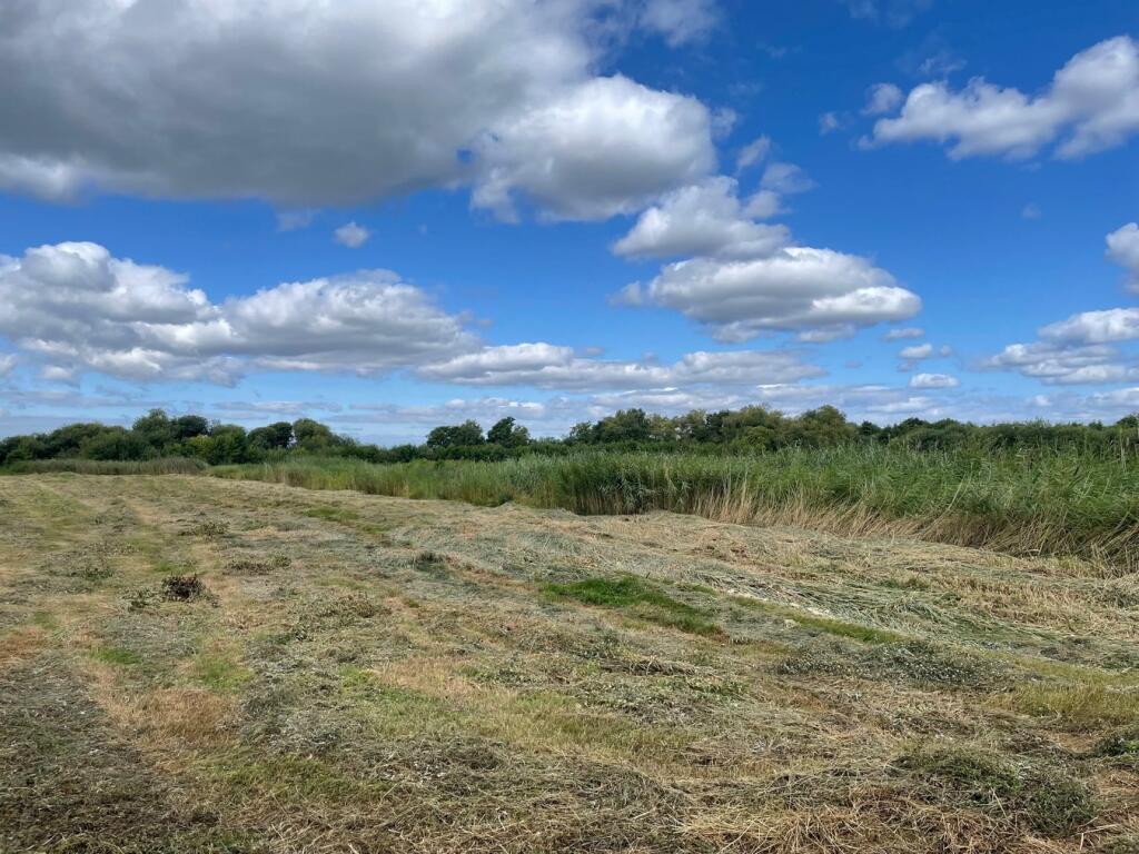 Additional image 11 of Oaks Drove, Westhay Moor, Westhay, BA6