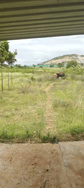 Additional image 2 of Chikkaballapur, Bangalore