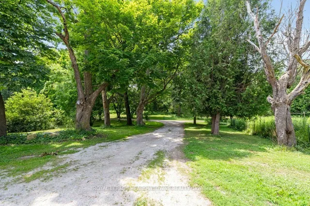 Additional image 43 of 5595 25 Sdrd