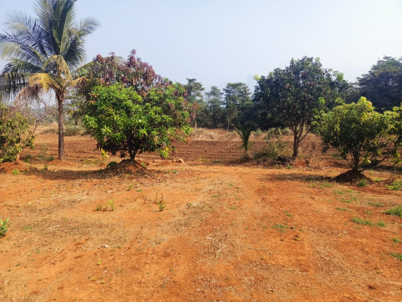 Additional image 2 of Murbad, Thane