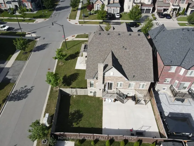 Additional image 4 of 6 Belladonna Circ