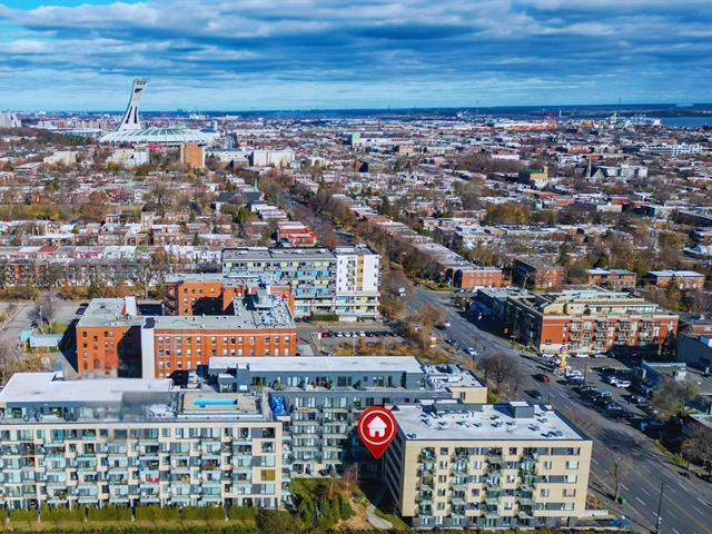 3043 Rue Sherbrooke E.|#207|Montréal (Rosemont/La Petite-Patrie), Quebec H1W0B9