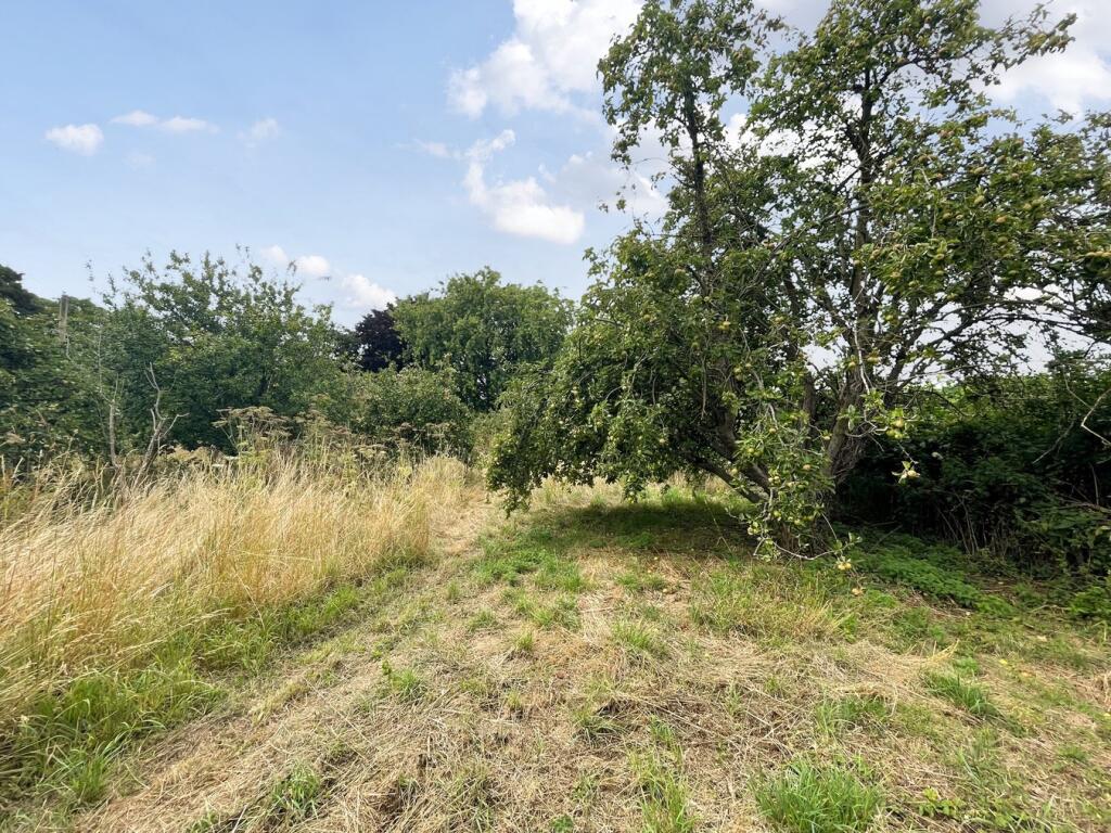 Additional image 9 of Small Way Lane, Galhampton, Castle Cary, BA22