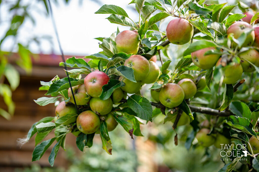 Additional image 34 of Manor Lane, Harlaston