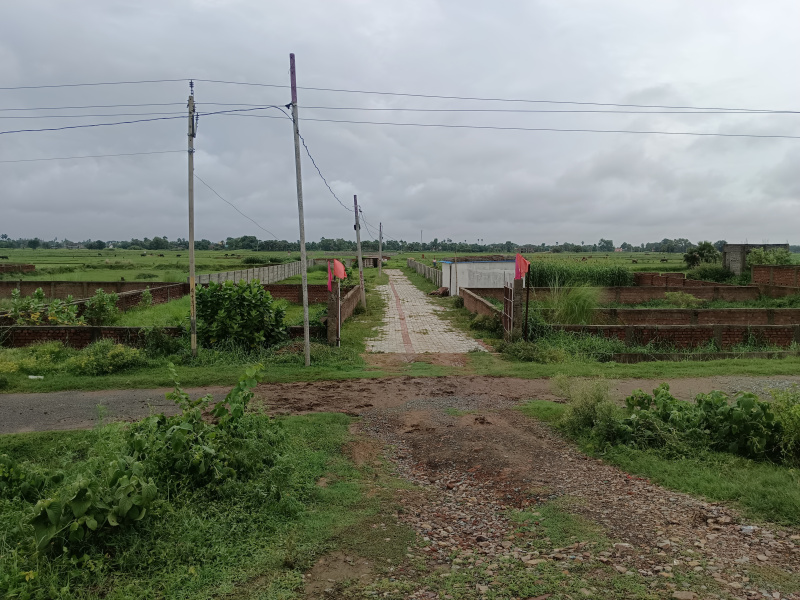 Additional image 3 of Kanhauli, Bihta, Patna
