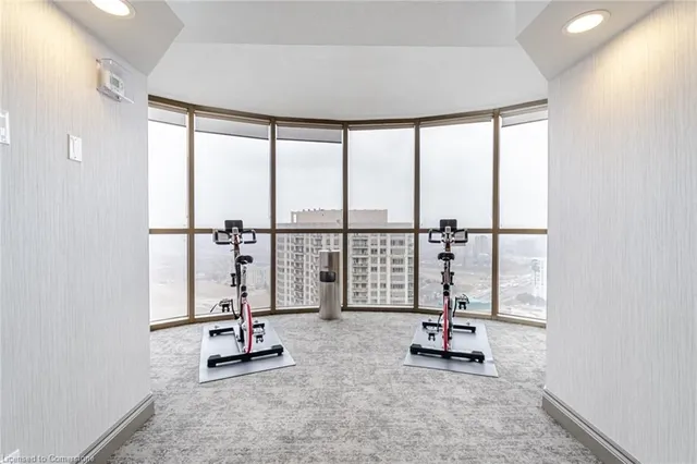 Additional image 42 of 45 Kingsbridge Garden Cir Unit 3208