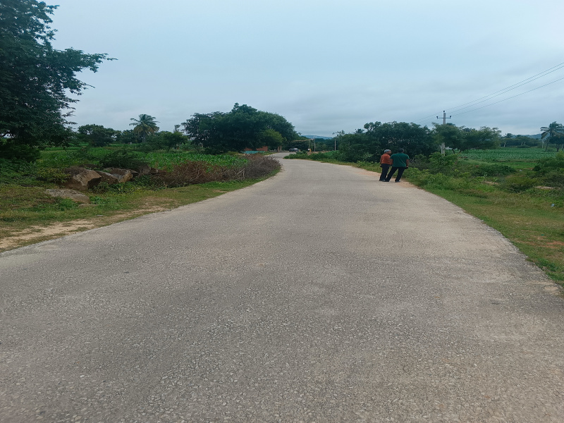 Additional image 3 of Bagepalli, Bangalore