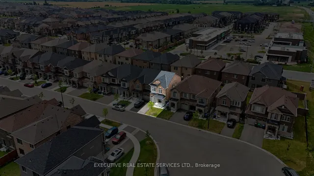 Additional image 7 of 36 Truffle Crt