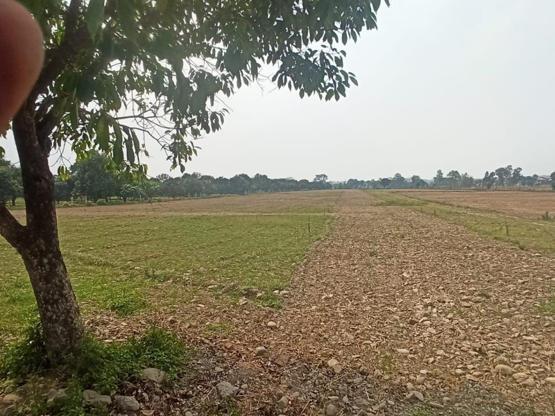 Additional image 3 of Selakui, Dehradun