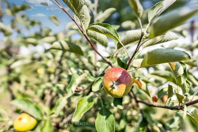 Additional image 47 of 7258 Vernor Dr