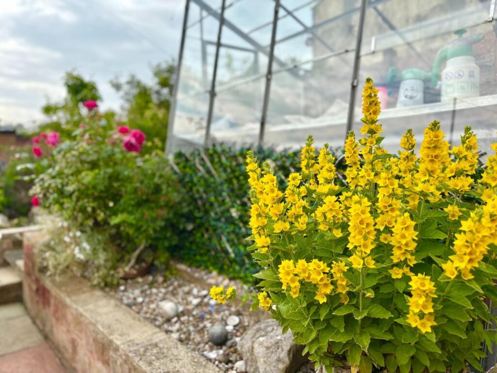 Additional image 34 of Appleby Drive, Barrowford