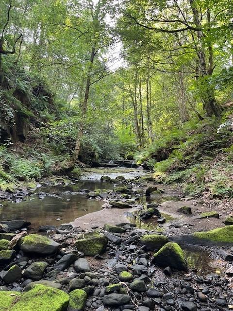 Additional image 37 of Goit Stock House, Harden, Bingley