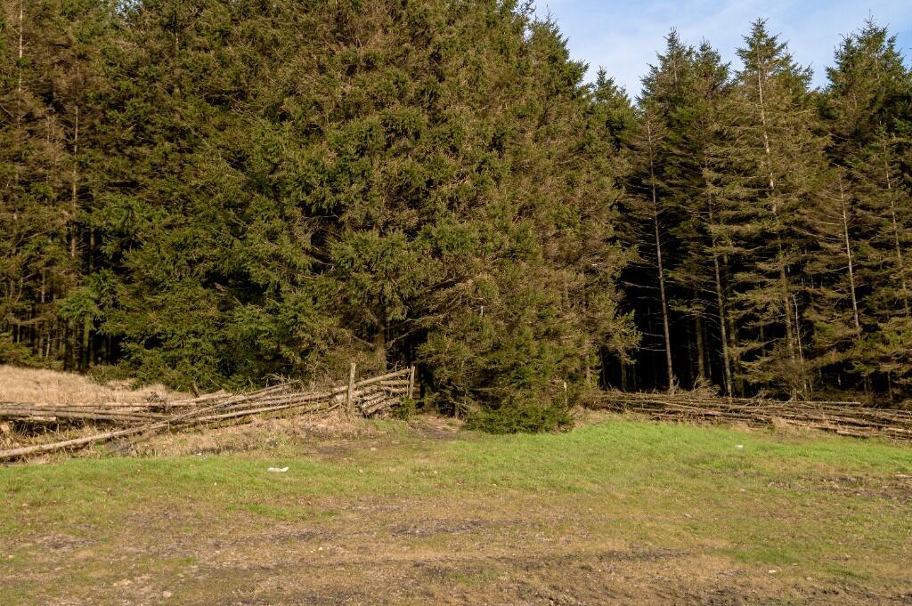 Additional image 4 of Chapel Hill, Rossendale (district Of), Lancashire, BB4