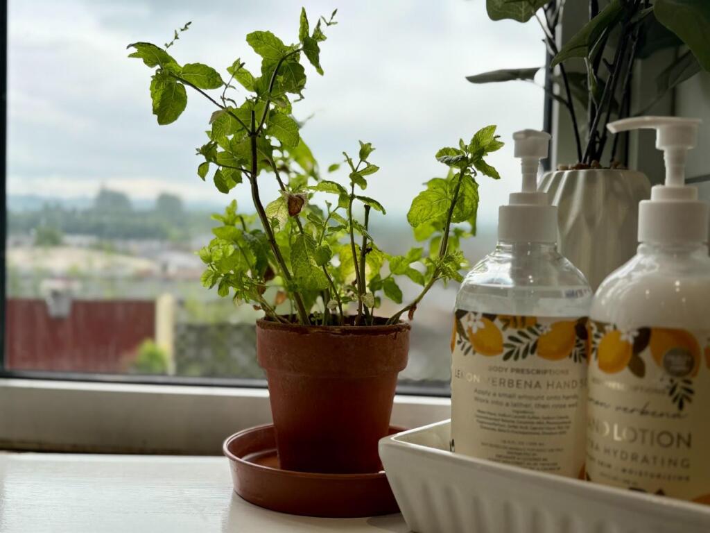 Additional image 23 of Lower Laithe Drive, Barrowford