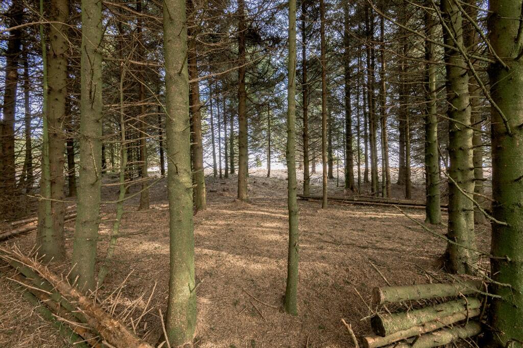 Additional image 5 of Chapel Hill, Rossendale (district Of), Lancashire, BB4