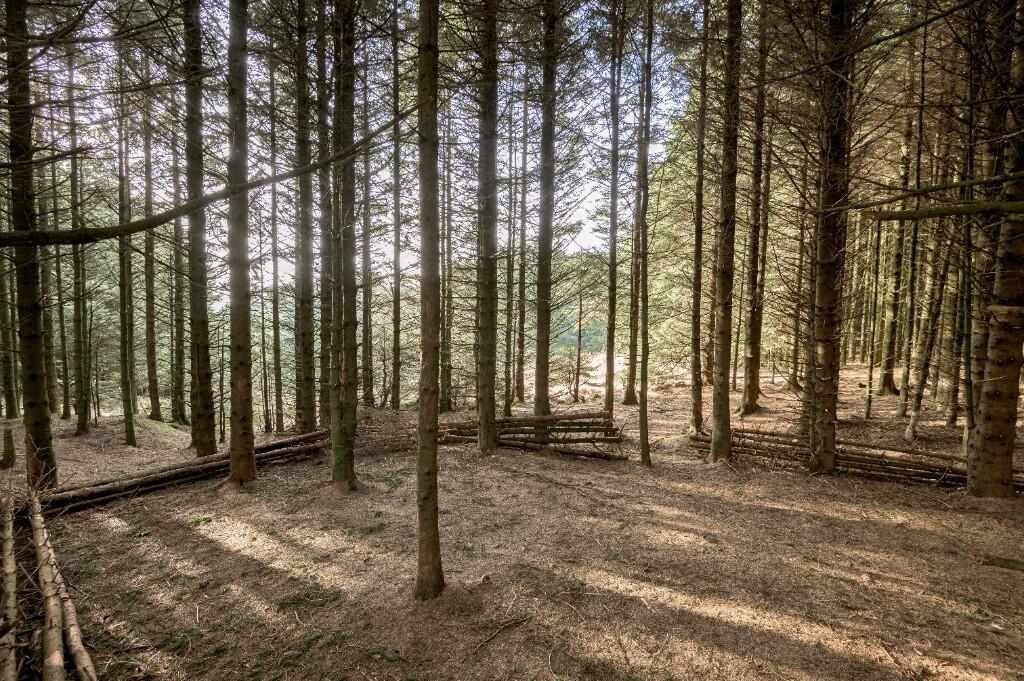Additional image 6 of Chapel Hill, Rossendale (district Of), Lancashire, BB4